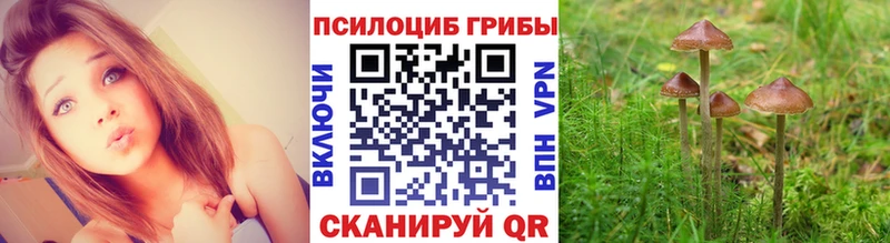 Галлюциногенные грибы Cubensis  Лениногорск 
